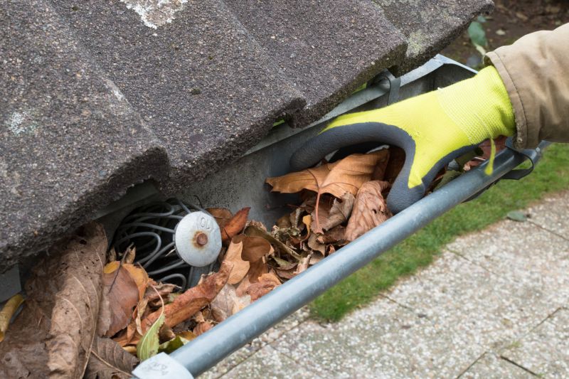 Gutter Cleaning Services